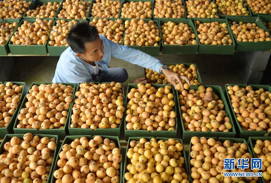 榆树融兴村镇银行被罚25万元：未按规定履行客户身份识别义务