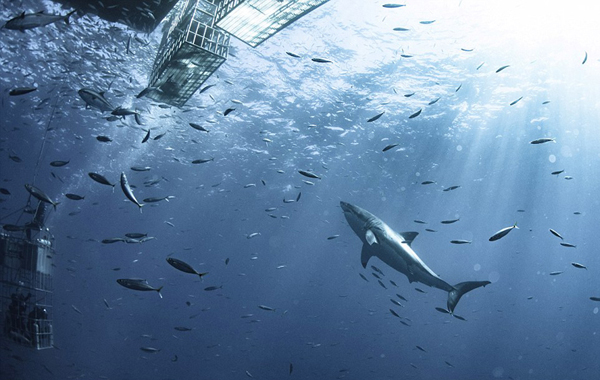 台积<电> 202?5 第三季度净利润 4523 亿元新台币，同比增长 39.1%