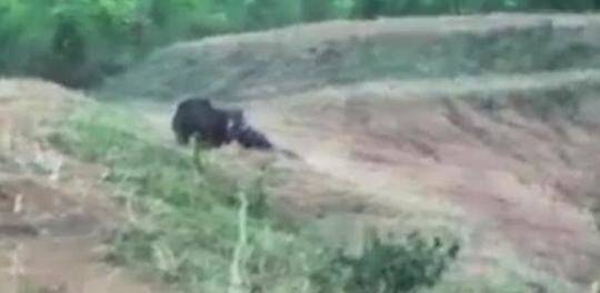 以色列确认向;哈马斯领导层;发起了袭击 称美国事前知晓