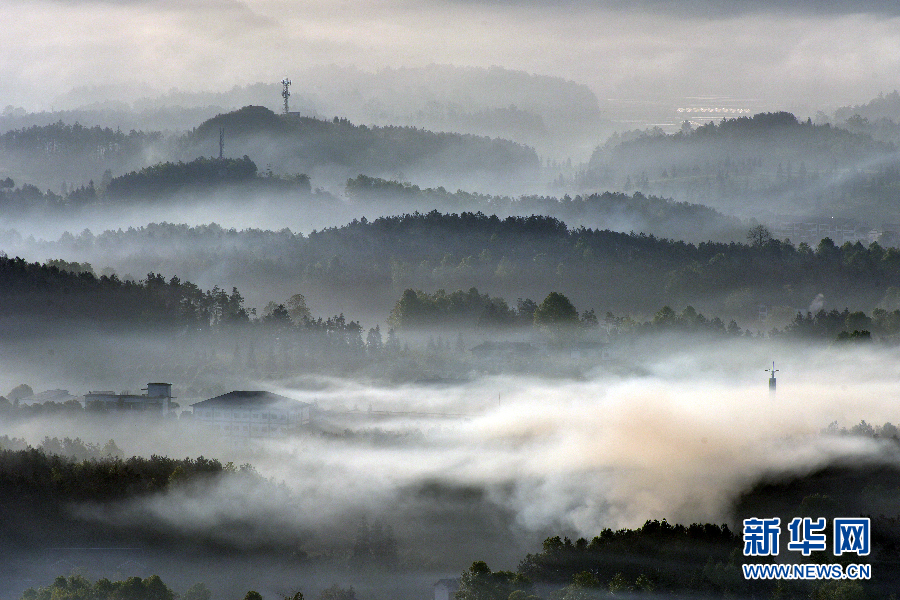 A股站上3600点！主动型基金却频频限购，怎么回事？