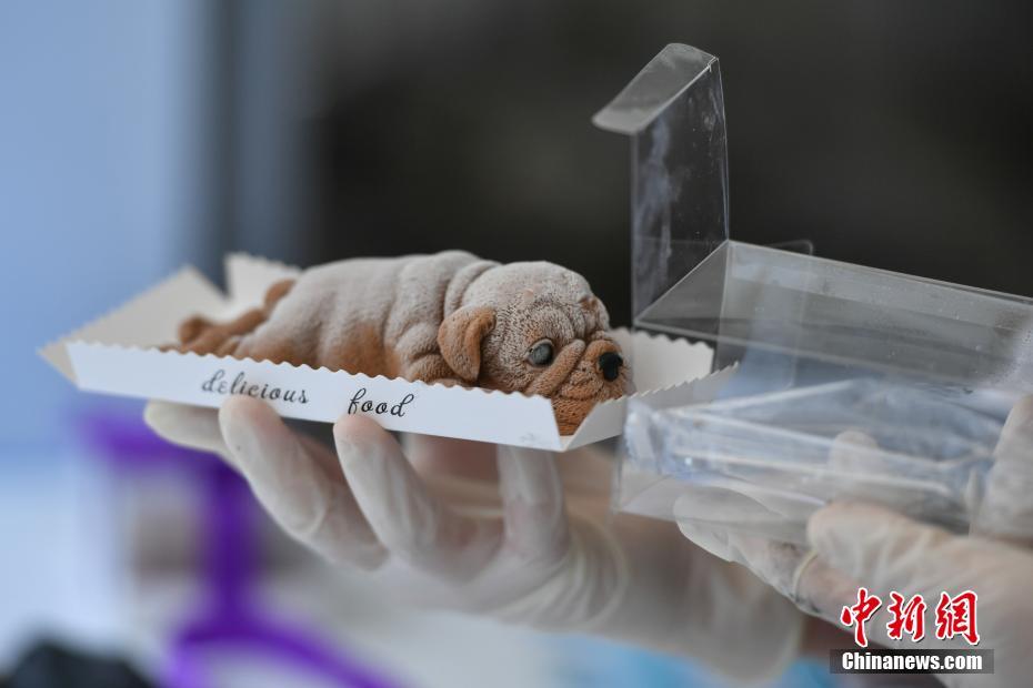 主力资金 ?|‘ ’主力资金抢筹超21亿元，这只龙头股被盯上