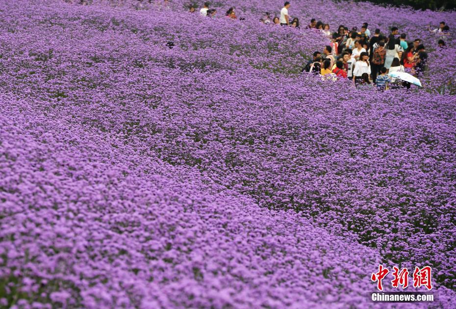 昂瑞微过会，,A!股射频PA格局初定：冲刺高集成模组竞逐下半场