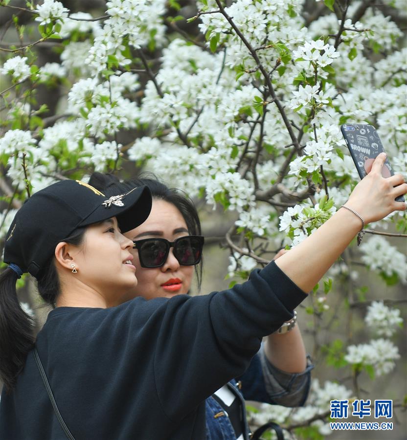 华检—医疗携手创胜集团 15亿美元创新药管线资产迈向RWA代币化新征程