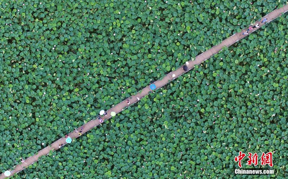 嘉<戎>技术拟,购买杭州蓝然100%股份 并向厦门溥玉定增募资不超10亿元