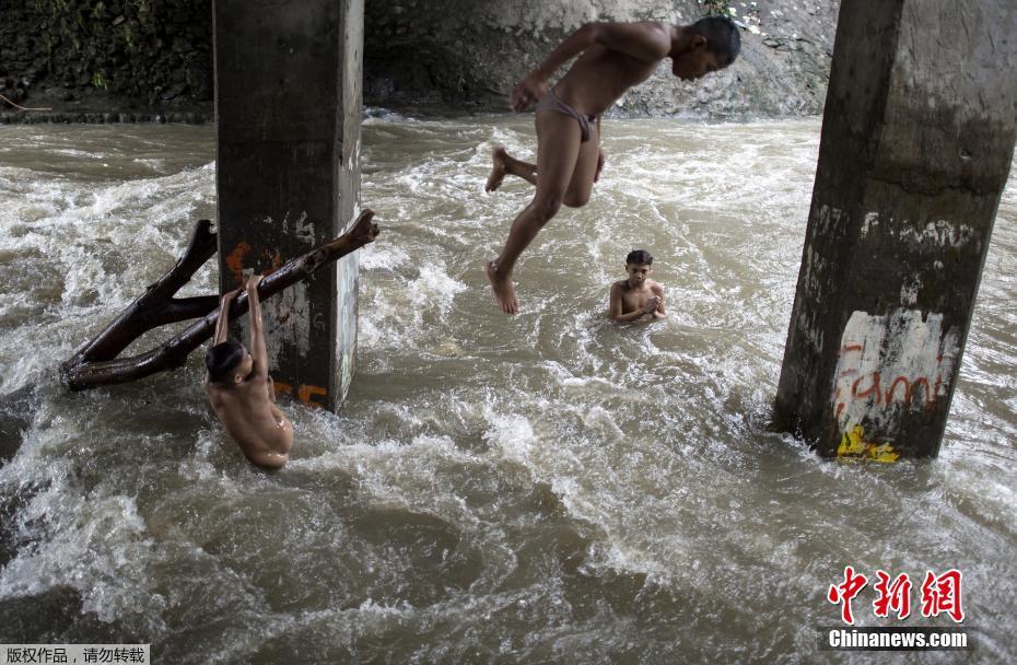 一:品红股价创新高