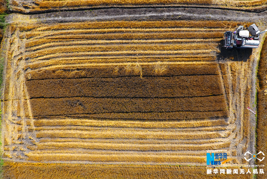 叶:冰海获批担任浙江!稠州金租董事、总裁