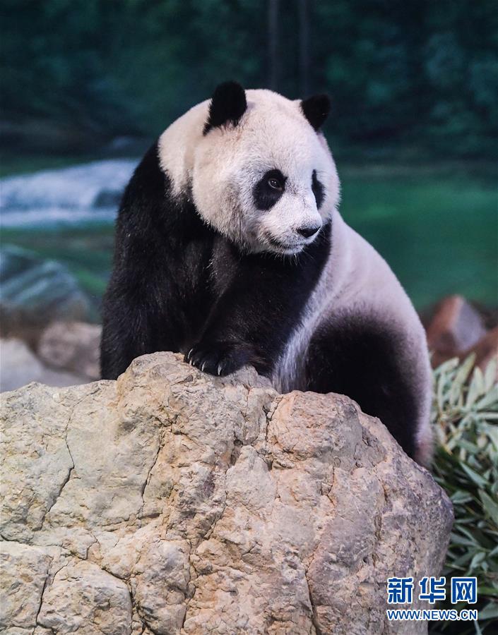 雪天‘盐’业：9月9日将召开2025年半年度业绩说明会