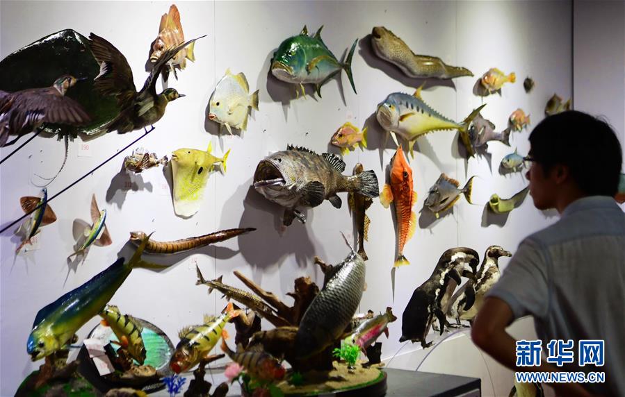 板.块异动 | 智能物流板块收涨2.52% 多家公司近期中标相关项目