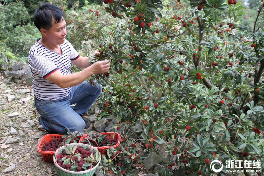新易—盛：公司生产经营情况良好