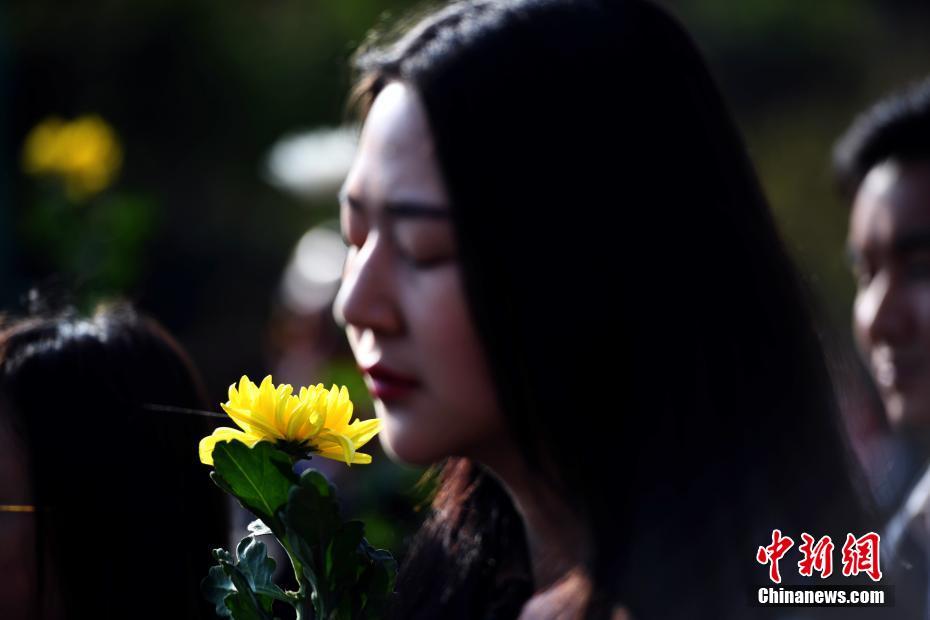 本轮蛋鸡行业:去产能需要多,久？