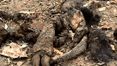 大!连金州联丰村镇银行获批进入破产程序