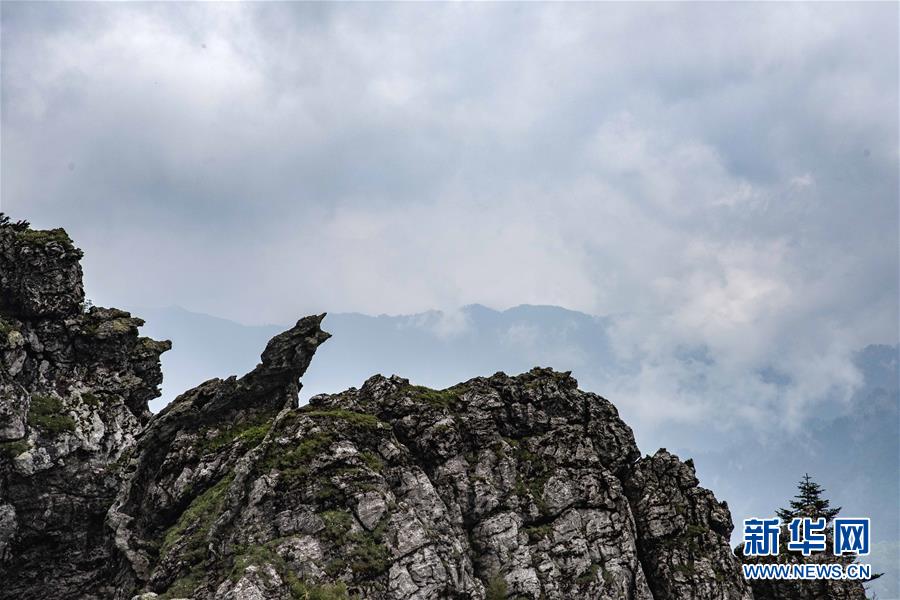 私募基:金财产用于借贷,海南卓戴私募基金遭警示函