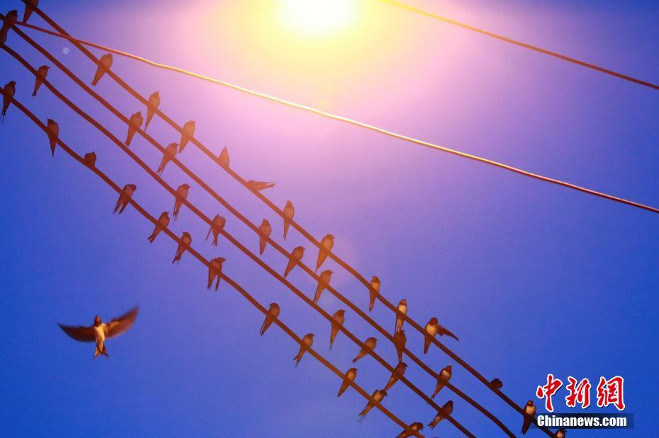 美国7年:期国债中标收,益率创2024年9月以来的最低水平