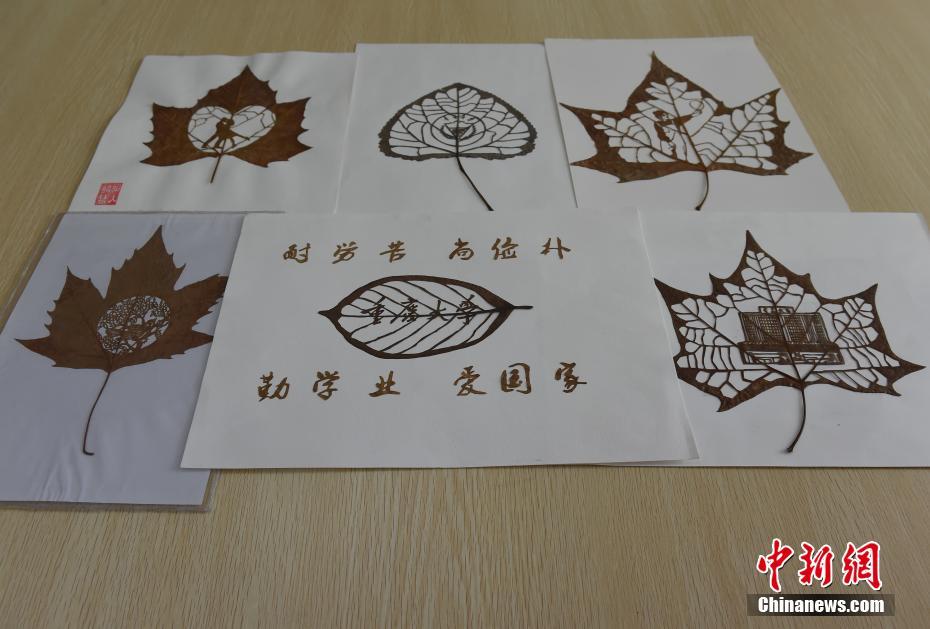 冰火?两重天：中欧基金稳健盈利，浙商基金继续亏损