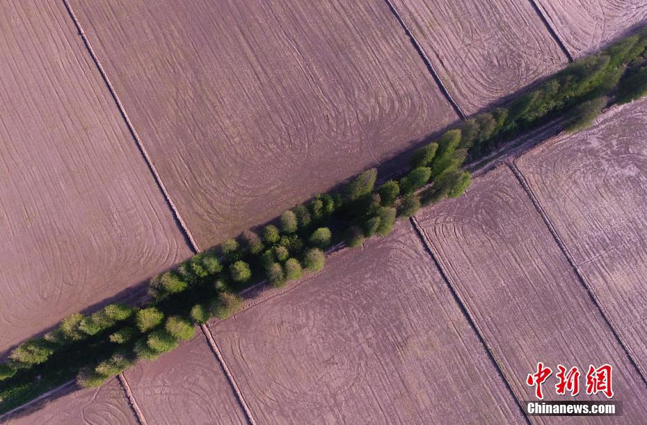 券商A股股权承销格局重‘构’：国泰海通超越“三中一华”登顶