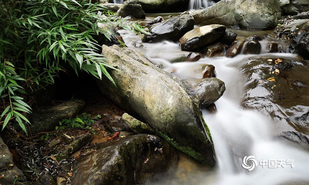 从下.调,利率到直接“退场” 有银行取消五年期定存产品