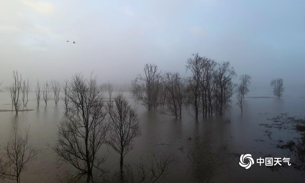 板块异动. | 景气度有望持续 氟化工板块涨幅居前