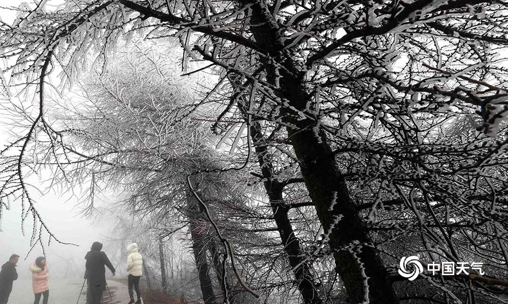 速卖通推“新品?闪电推”AI自动帮卖货