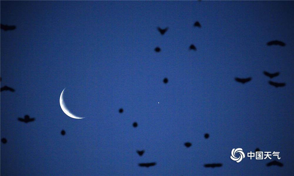 航;班因天气原因备降太原，乘客情急向工作人员下跪，海航回应