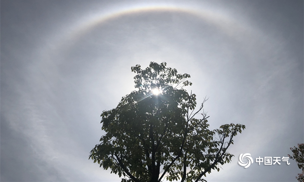 铁矿：—供减需稳，走!势偏强2025.9.14