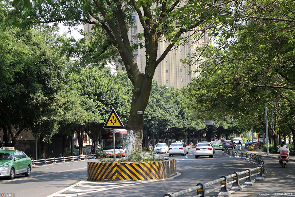 武商集:团：公?司始终重视市值管理工作，也高度关注股东利益