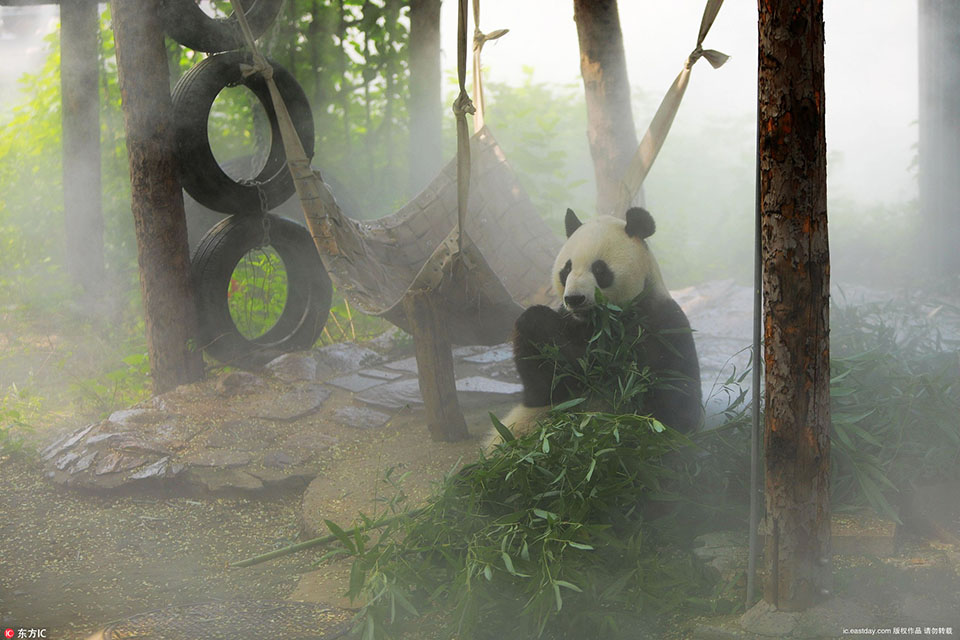 中国金<茂>田九,坡：房地产回归居住本质，企业要踏实做好产品