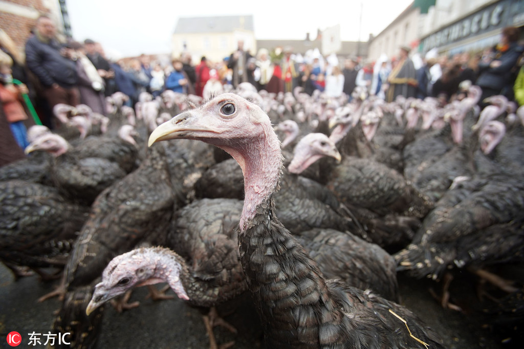 化工股为何逆势大涨？