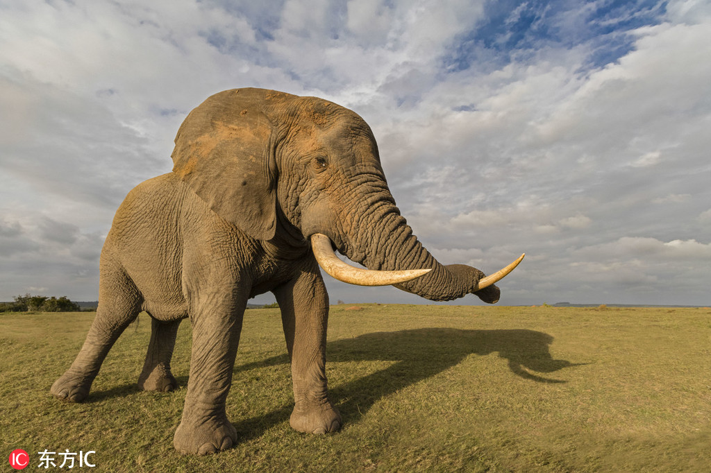 PK:I的下一站：抗量子化与全球化——密码信任基石面临时代重构