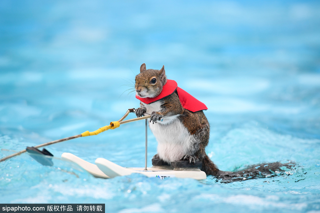 零跑汽车股价较8月低点飙升逾200% 跃升为中国电动车新星