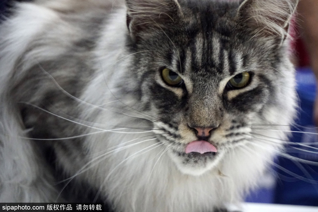 甬产人形机器人G<2>首;发，年产3000台新产线启用