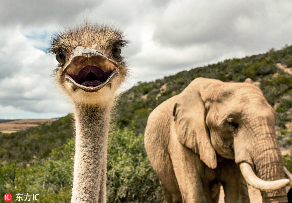 SK—海力士称已准备好HBM4芯片生产，力求保持对竞争对手的领先优势