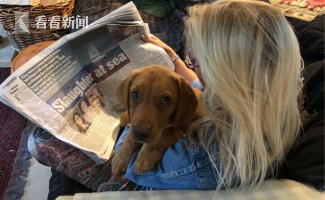 苹果不再执着于高!端PC赛道  首款搭载iPhone芯片的“低价版Mac”即将问世