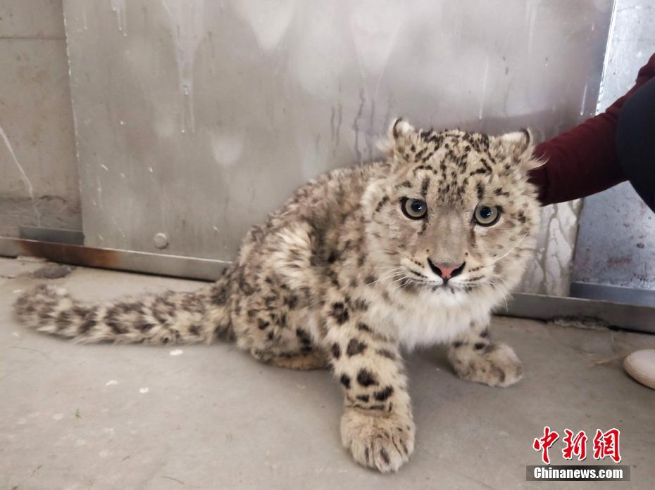 江苏航信签约清江浦城投集;团税金销项管理软件项目