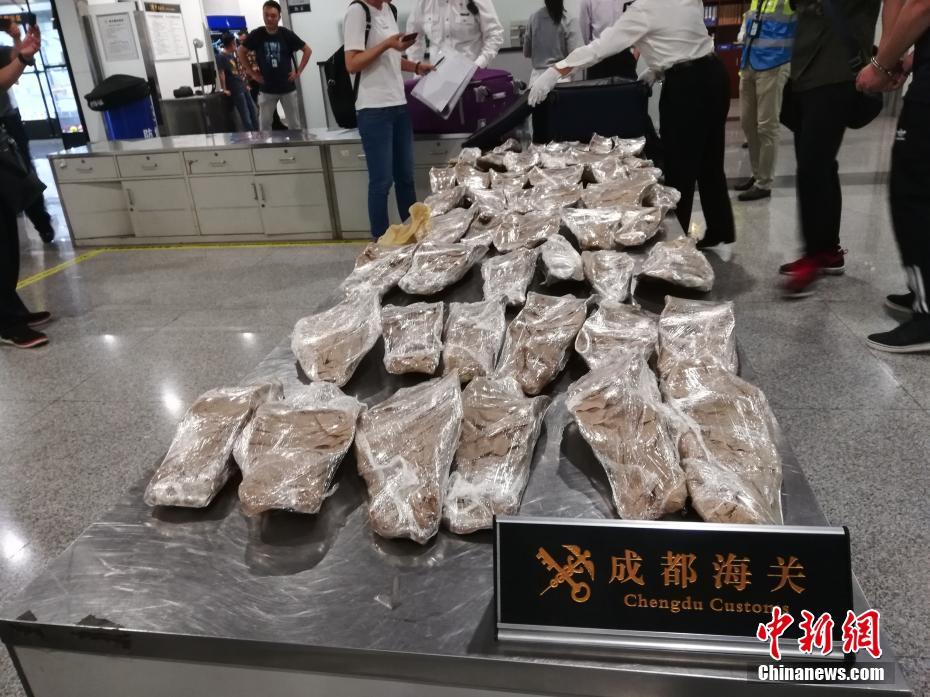 跨境发薪、扫码支付齐亮相！跨境金融破解多场景痛点｜聚焦2025进博会