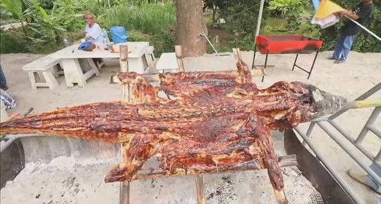 嘉和美康前三季度实;现营收3.3亿元