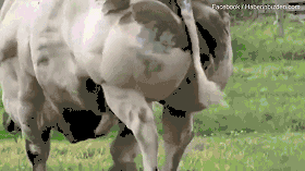 A,股福建板块午后持续走强，海峡创新涨超10%