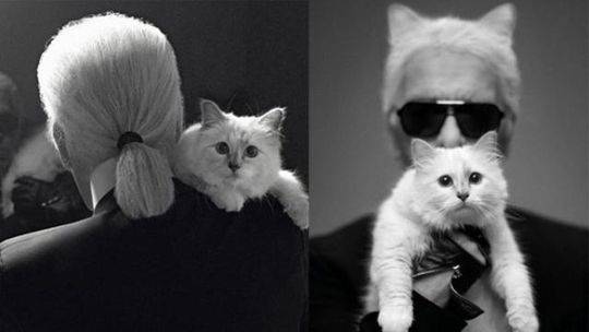 武:商集团：公司根据《经营者薪酬管理办法》对管理层薪酬进行考核