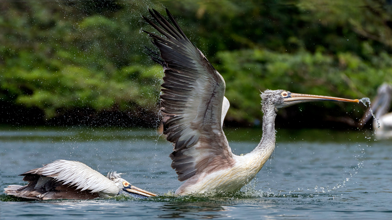 陕西华达：;公司高度关注机器人领域发展