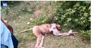 下,阶段金融工作“路线图”来了，明确六大工作重点