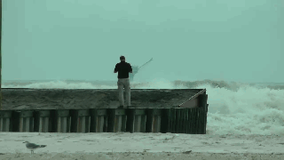 11月7日外盘头<条>：特朗普宣布与礼来、诺和诺德达成协议 美政府将铜、煤炭、白银列入关键矿产清单