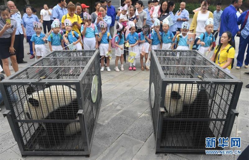 增长失.速的珀:莱雅，能在港股讲出新故事吗？