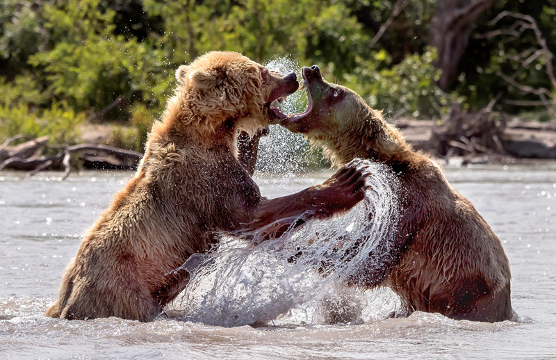 东‘风’柳汽致乘龙卡友的一封信