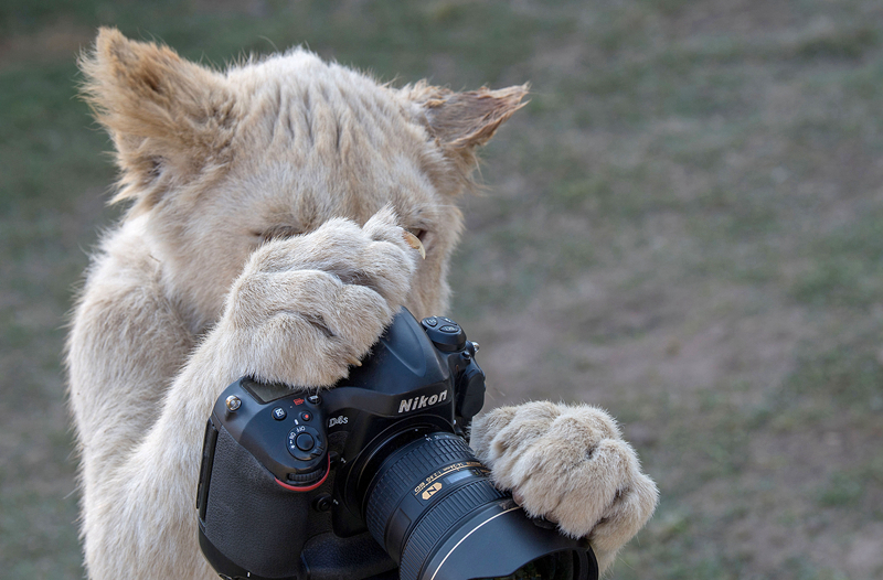 美<国>合作伙伴克罗格宣布关闭三座自动化仓库，Ocado股价应声下跌