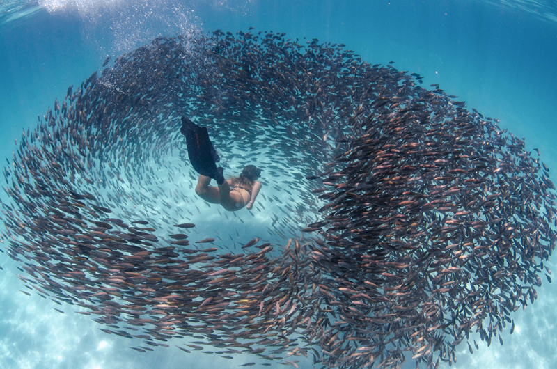 天‘亿’马：独立董事取得独立董事培训证明