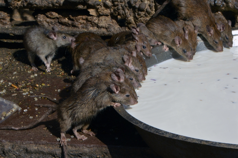 刚<刚>，A股大变;动！601288，历史首次登上A股市值冠军宝座