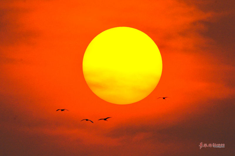 “:雷军系”苏州顺为拟!“清仓式”减持龙旗科技，股份市值近9亿元