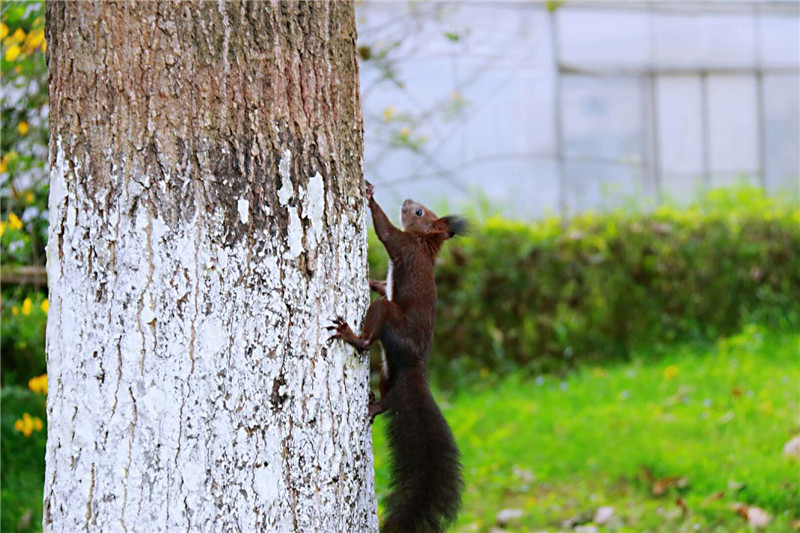 南?向资金单日净流入超234亿港元创5月以来新高，恒生科技ETF（513130）多只成份股获大举加仓