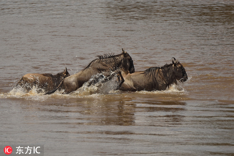 星;宸科技：9月22日将召开2025年第一次临时股东会