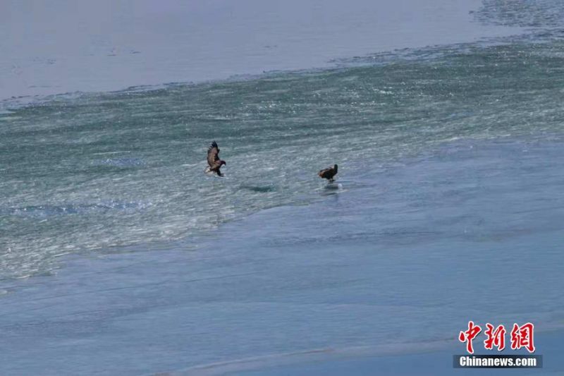 美国低薪工人;大涨薪时代告一段落：底部工资增速回落至 2017 年来低点