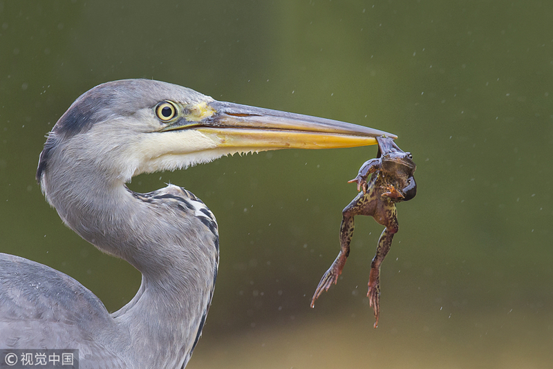 亿晶光电:换手率27.44%，上榜营业部合计净卖出4405.90万元